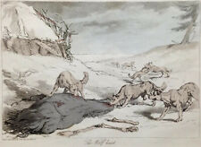 COLOR Etching British 1804 ~ WOLF PACK - ON THE HUNT ~ Antique AUGUSTUS ATKINSON picture