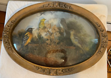 Antique Victorian Taxidermy Birds Convex Glass Diorama painted landscape picture