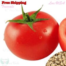 Beefsteak Tomato Seeds| Non-GMO, Vegetable Seeds picture