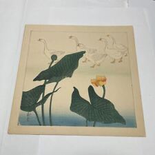 Japanese Woodblock Print Tentative title Duck-and-Lotus Japan Meiji-Showa Period picture