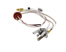 SP21058 | Rheem Pilot Assembly Replacement Kit picture