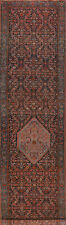 Pre-1900 Vegetable Dye Bidjjar Halvaei Runner Antique Rug 3x19 Handmade Carpet picture