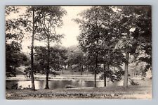 Bloomington IL-Illinois, Miller Park Picnic Grounds, Antique Vintage Postcard picture