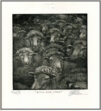 Polite EWE SHEEP. Original MEZZOTINT Signed Numbered Limited-Edition Art Print picture