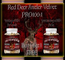 The King OF ALL New Zealand Red Deer Antler Velvet Pro3000 100:1 Powerful In USA picture