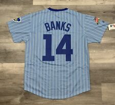 Ernie Banks Chicago Cubs Men's 1970's Blue Cooperstown Jersey Size Men’s Large picture