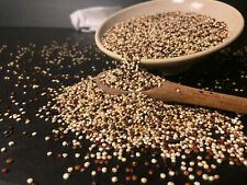 Tri Color Organic Quinoa 10 Pounds  picture