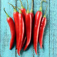 Cayenne Pepper - Seeds - Organic - Non Gmo - Heirloom Seeds – Vegetable Seeds  picture