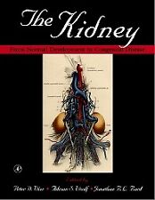 The Kidney From Normal Development to Congenital Disease Vize Woolf Bard picture