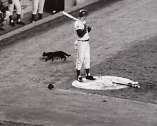 1969 Chicago Cubs RON SANTO Glossy 8x10 Photo 'Black Cat on Deck' Print Poster picture