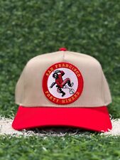 San Francisco 49ers Vintage Patched Snapback hat. picture