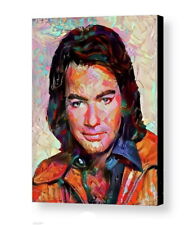 Framed Neil Diamond Abstract 8.5 X 11 Art Print Limited Edition w/signed COA picture