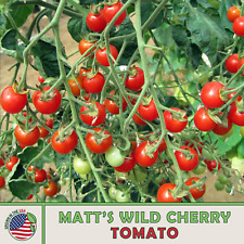 50 Matt's Wild Cherry Tomato Seeds, Organic, Genuine USA picture