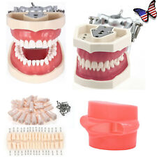 Dental Typodont 28/32Pcs Model Removable Teeth fit Kilgore NISSIN 200/500 Type picture