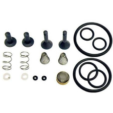 CPS Products TRS21 Valve Rebuild Kit - TR21X1 (Each) picture