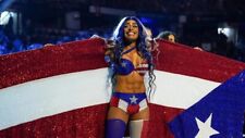 Zelina Vega, Above The Ring With A Large Flag Of Puerto Rico 8x10 PHOTO PRINT picture