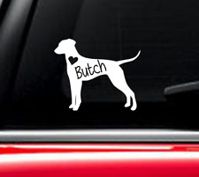 Dalmation Dog car decal with custom name picture