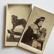 Antique CDV Photograph Fashionable Mature Woman With Dog Info & ID Bangor ME picture