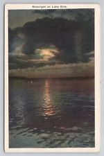 Postcard Moonlight On Lake Erie Pennsylvania c1920 picture