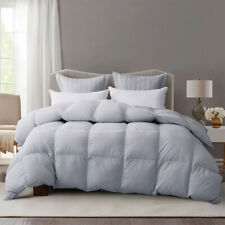 Snowman Gray Ultra Soft All Season Goose Down Comforter Duvet Insert Queen Size picture