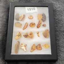 KCGS 20-Piece Collection Authentic Lithuanian Baltic Amber in Glass Case picture