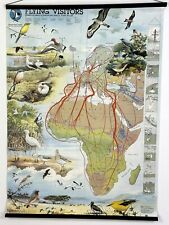 Vintage Flying Visitors Bird Migratory Birds of Europe & Africa ICBP Poster picture