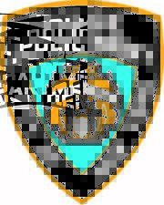 NYPD NEW YORK POLICE DEPARTMENT DECAL STICKER 3M USA TRUCK HELMET VEHICLE WINDOW picture