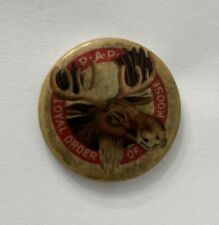 Antique 1912 P.A.P. Loyal Order of the Moose Pinback Button - SCARCE picture