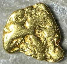 PURE GOLD NUGGET ALASKA YUKON BC NATURAL SMALL ROCK HAND PICKED RAW FINE 22k .3g picture