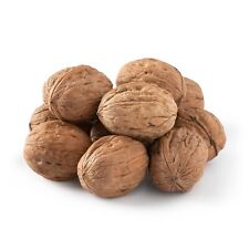 California English Walnuts In Shell, Jumbo Size and Chandler, 5LB picture