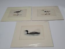 Alexander Francis Lydon, 18th Century Matted Bird Woodcut Prints Lot of 3 Rare picture