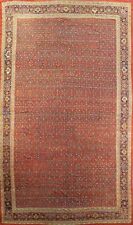 Pre-1900 Antique Vegetable Dye Sultanabad Hand-knotted Oversize Area Rug 15'x22' picture