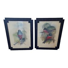 2 John Gould Private Collection Lithograph Original Hand Painted Framed picture