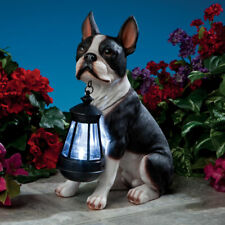 Realistic Boston Terrier Dog Garden Sculpture Holding Solar Lighted Lantern picture