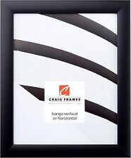 Craig Frames Contemporary Picture Frame, 19 x 25 Inch, Black picture