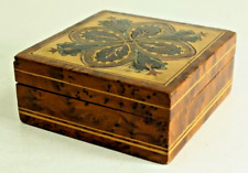 = Antique 19th/20th c. Marquetry Box Burl Veneer with Rosette, Variety of Woods picture