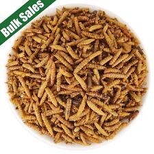 Lot BSF Bulk Dried Black Soldier Fly Larvae for Birds Ducks Chickens Hen Treats  picture