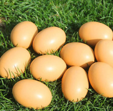 Fake Nest Eggs Wooden Brown Easter Eggs for Craft Get Hens to Lay Eggs 6Pcs picture
