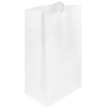 Karat 20 lb Paper Bag (White) - 500 ct, FP-SOS20W (500) picture