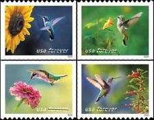 US 2024 SC#5845-5848 Garden Delights Forever Stamps ( 4 Stamps )  MNH VF picture