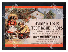 Historic Cocaine Toothache Drops Lloyd Mfg. 1890s Advertising Postcard picture