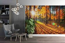 3D Autumn Forest Wallpaper Wall Mural Removable Self-adhesive 445 picture