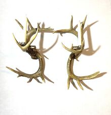 Nice Pair Real DEER Antler WALL SCONCE Candleabras Lights Adirondack Decor picture