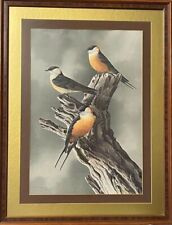vintage bird prints framed picture