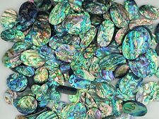 Natural Abalone Shell Piece Wholesale Lot Abalone shell For jewelry making 72408 picture