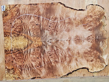 Birdseye Spalted Maple BURL Wood 0700  Luthier Guitar Top 24x18x.375 picture