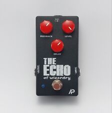 The Echo of Wizardry - Ibanez Echomachine EM5 Clone picture