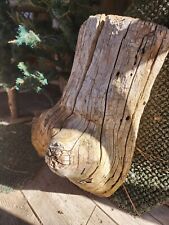 HEAVY Natural Tree Wood Burl Burr Gnarl Knot 18 POUNDS 21