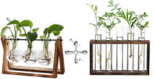 Plant Terrarium with Wooden Stand | Retro Tabletop Decoration picture