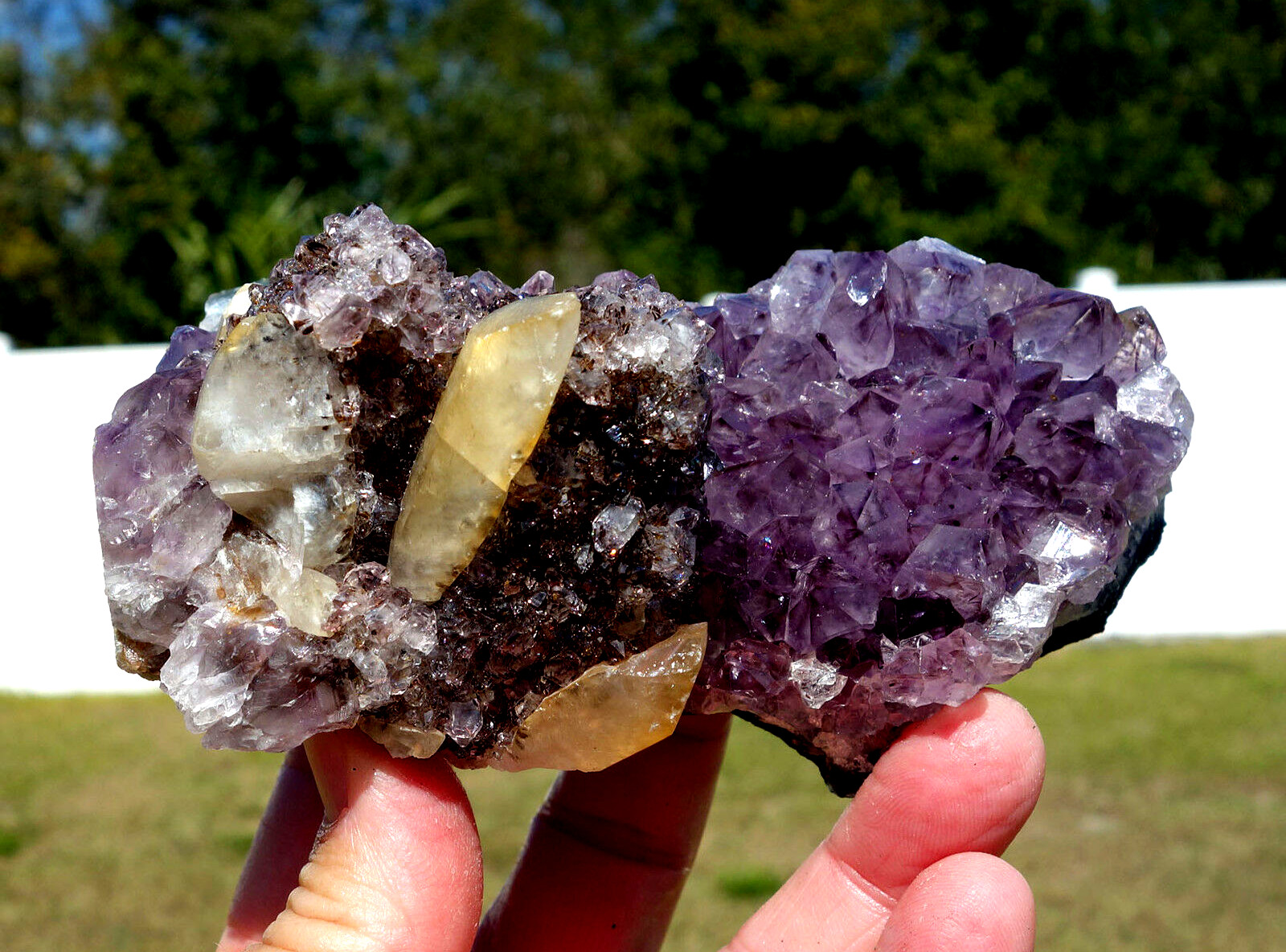 DOGTOOTH CALCITE in Amethyst Flower Quartz Crystal Point a Uruguay STALACTITE
